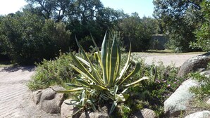A garden with large rocks, green plants, and a paved path. - Detached villa 4/6 persons 3 terraces - Palombaggia magnificent sea view (Porto-Vecchio)
