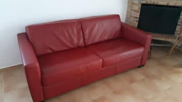 Fernseher, Kamin, DVD-Player, Bücher