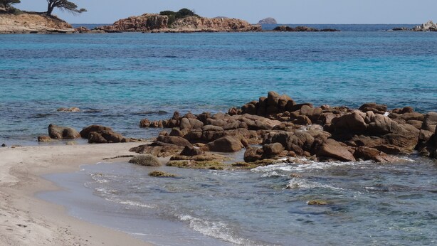 A beach with clear blue water, rocky formations, and a lone tree on a distant hill. - Detached villa 4/6 persons 3 terraces - Palombaggia magnificent sea view (Porto-Vecchio)