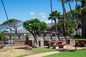 Enjoy al fresco dining with a barbecue setup and picnic table overlooking a serene body of water and majestic mountains.
