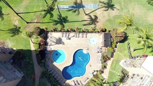 Una piscina en la azotea con dos áreas separadas, rodeada de sillones de descanso y sombrillas, con palmeras al fondo.