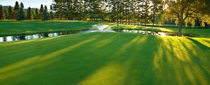 Golf - Wisconsin Dells Resort Cottage Free Kayaks, Mini Golf, Pools, No Resort Fee (Dellona)