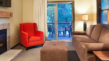 智能电视、壁炉、DVD 播放器、立体声音响