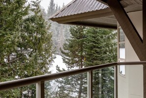 Property grounds - Luxury 2BR/2BA- True Ski-in/out with 3HT`s, Pool (Whistler)