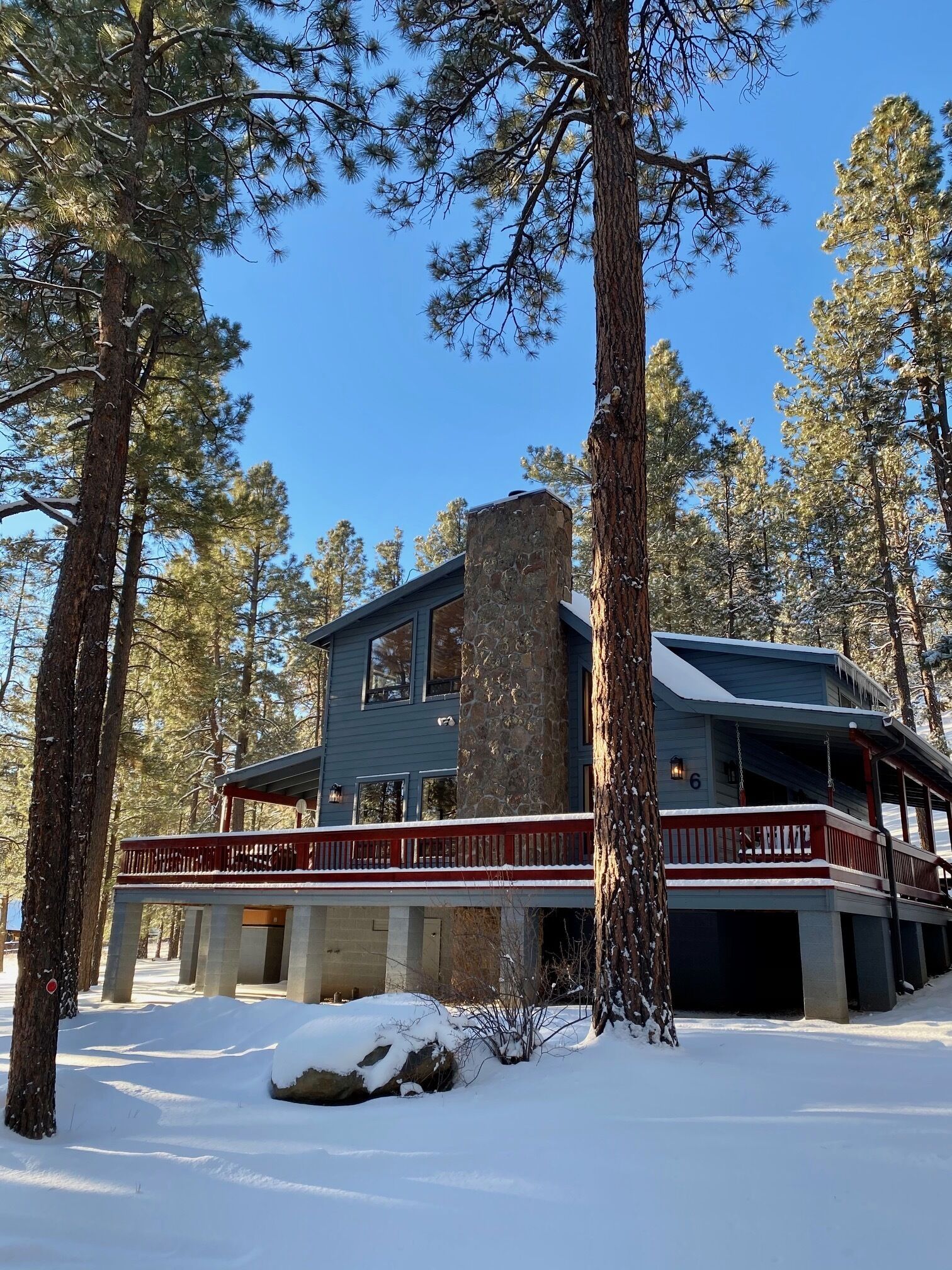 Top 10 Cabin Rentals In Springerville, Arizona Updated 2024 Trip101