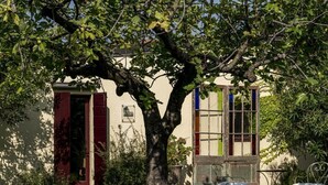 A tree in a garden with a building in the background. - Le Chiusure - apartment 'Solaio' (Lake Garda, Lombardy)