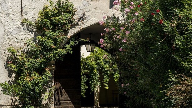 An arched stone gateway with climbing plants and a gravel path leading through it. - Le Chiusure - apartment 'Fienile' (Lake Garda, Lombardy)