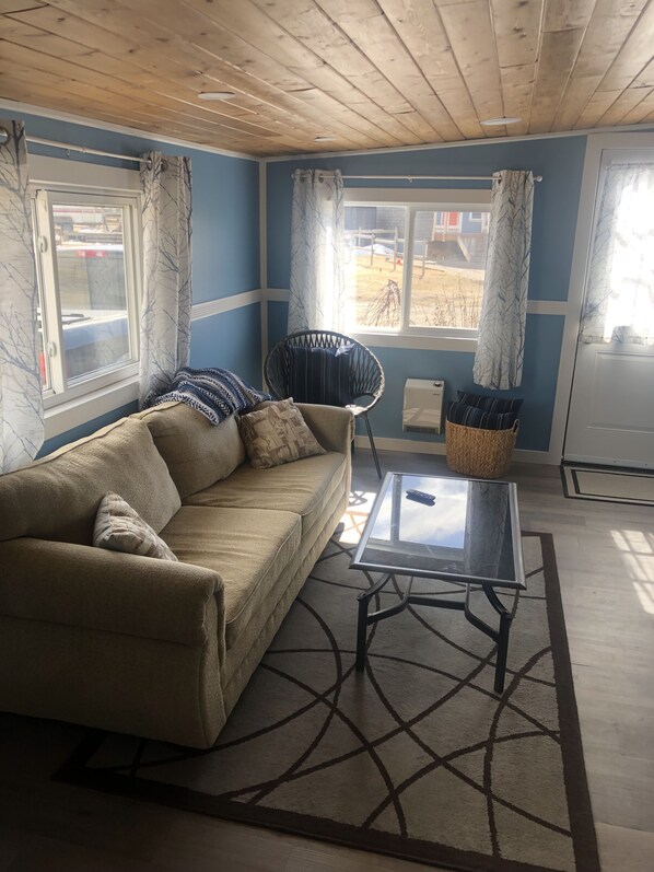 Smart TV, fireplace, DVD player, books