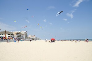 Playa en los alrededores y sombrillas 