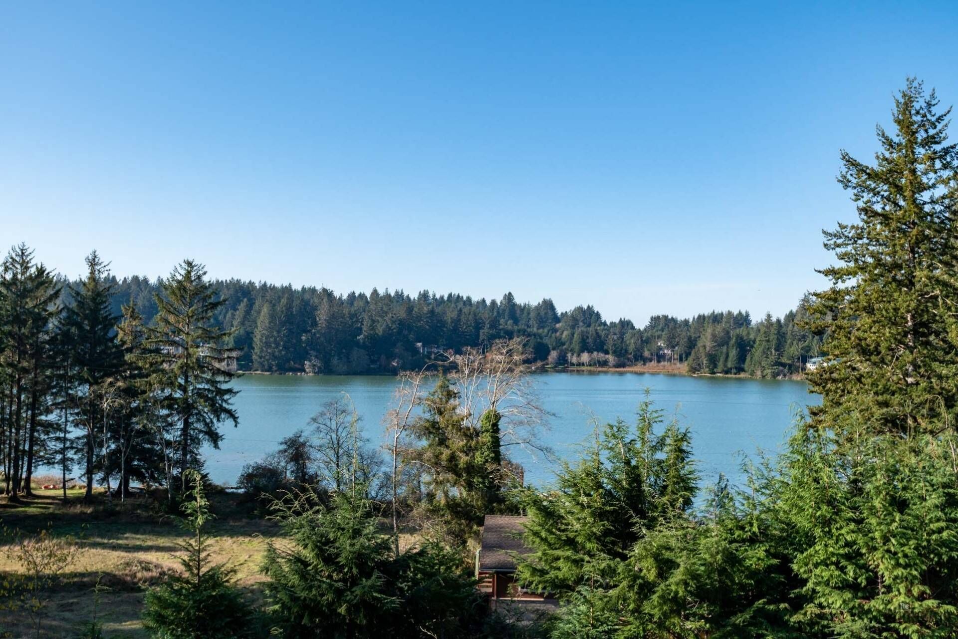 A cabin surrounded by dense forest and a lake.