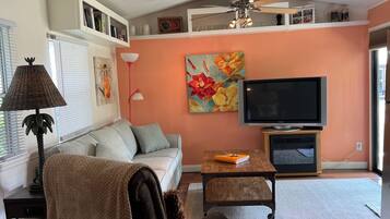 TV, fireplace, books