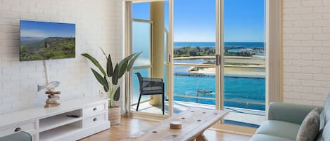 TV, DVD player, books