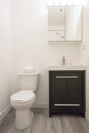 A bathroom with a toilet, a dark cabinet with a mirror, and a white sink.