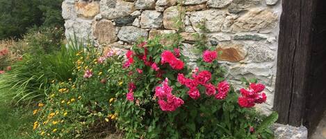 DĂ©tail de lâextĂ©rieur