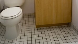 Et badeværelse med toilet, et træskab med vask og et spejl over vasken.