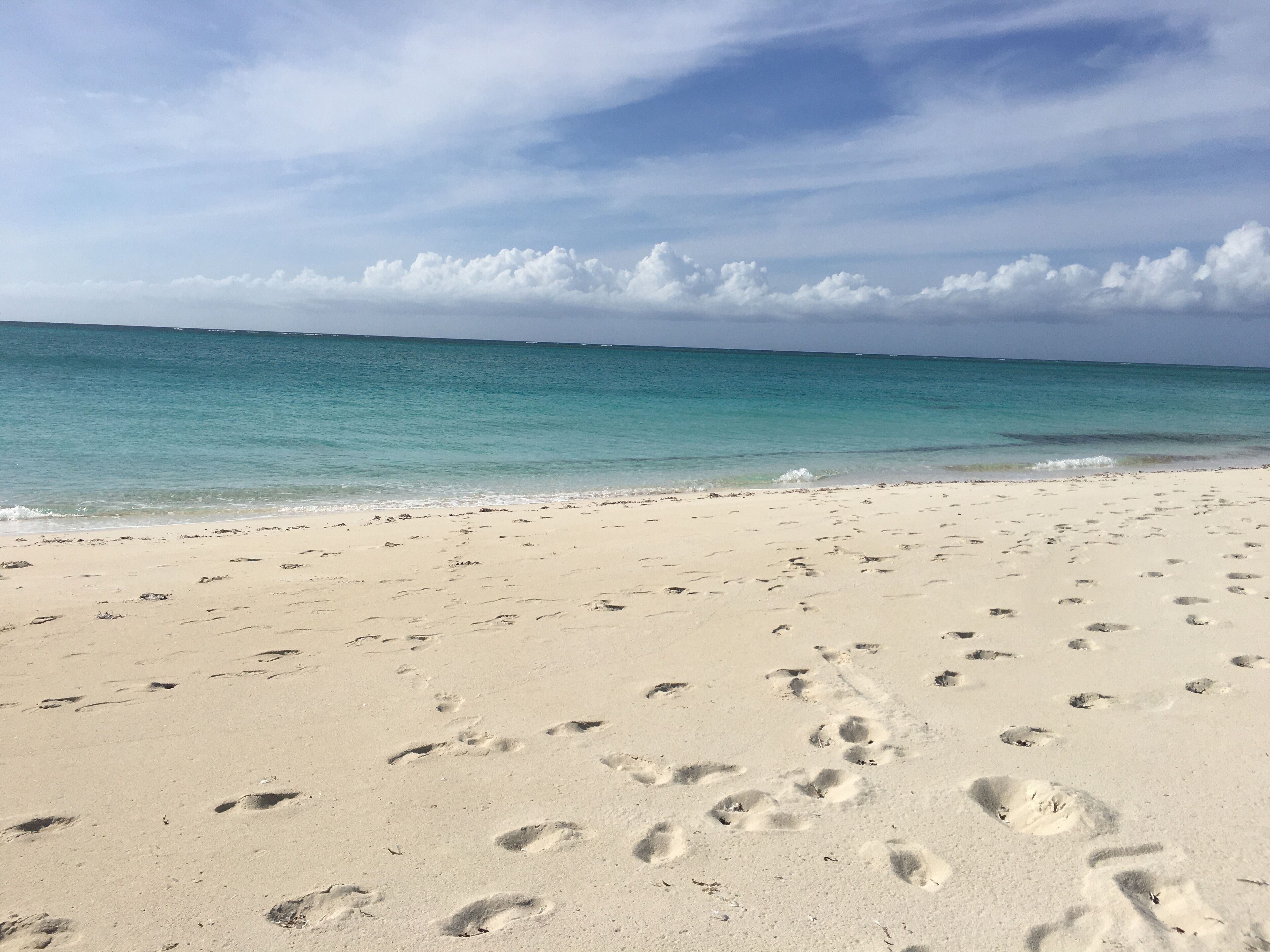 Una playa con huellas en la arena y un cielo despejado.