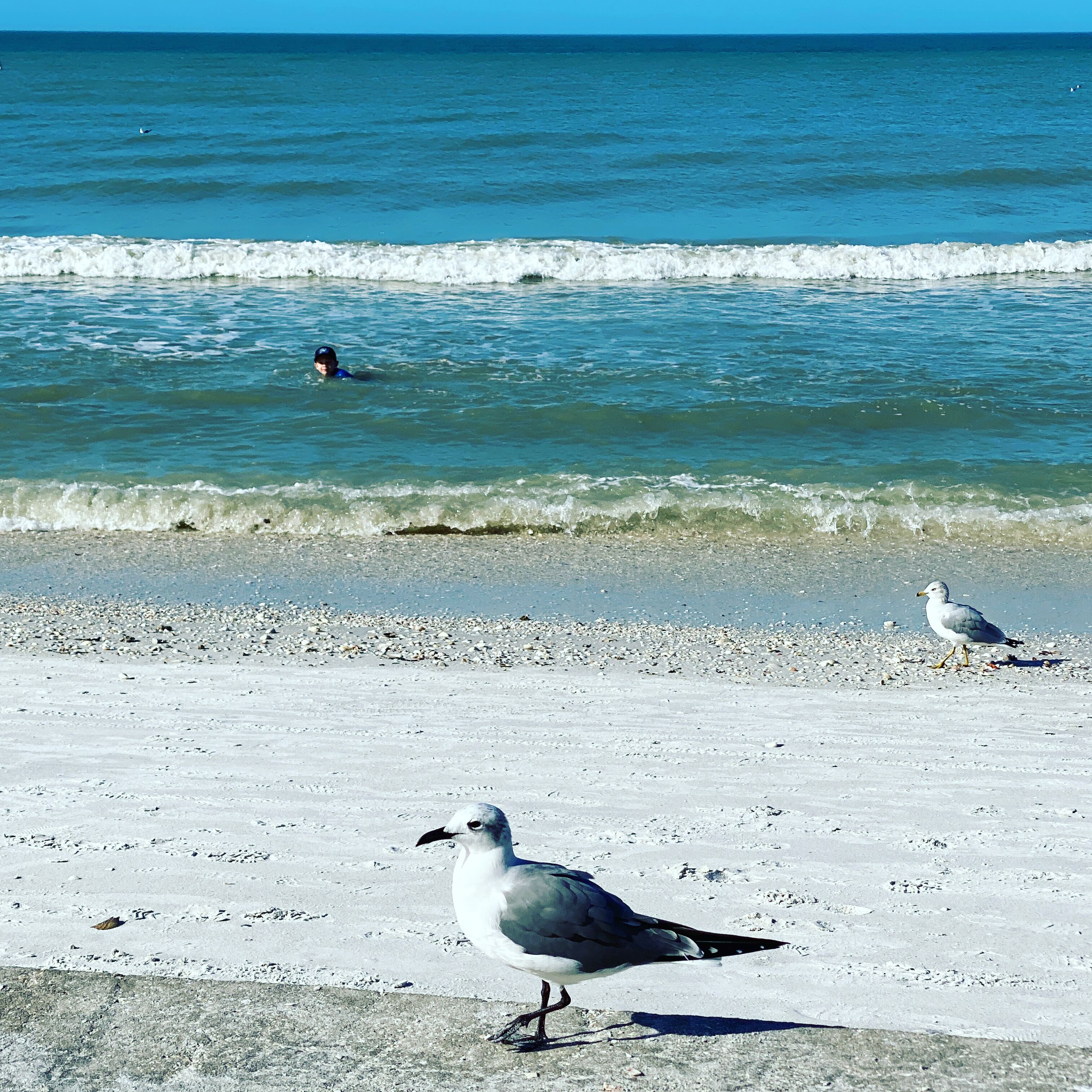 In Strandnähe, Strandtücher