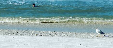 In Strandnähe, Strandtücher