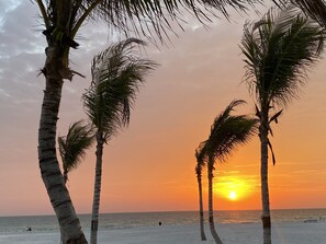 A beach with palm trees and a sunset.