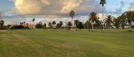 A golf course with a clear sky and palm trees.