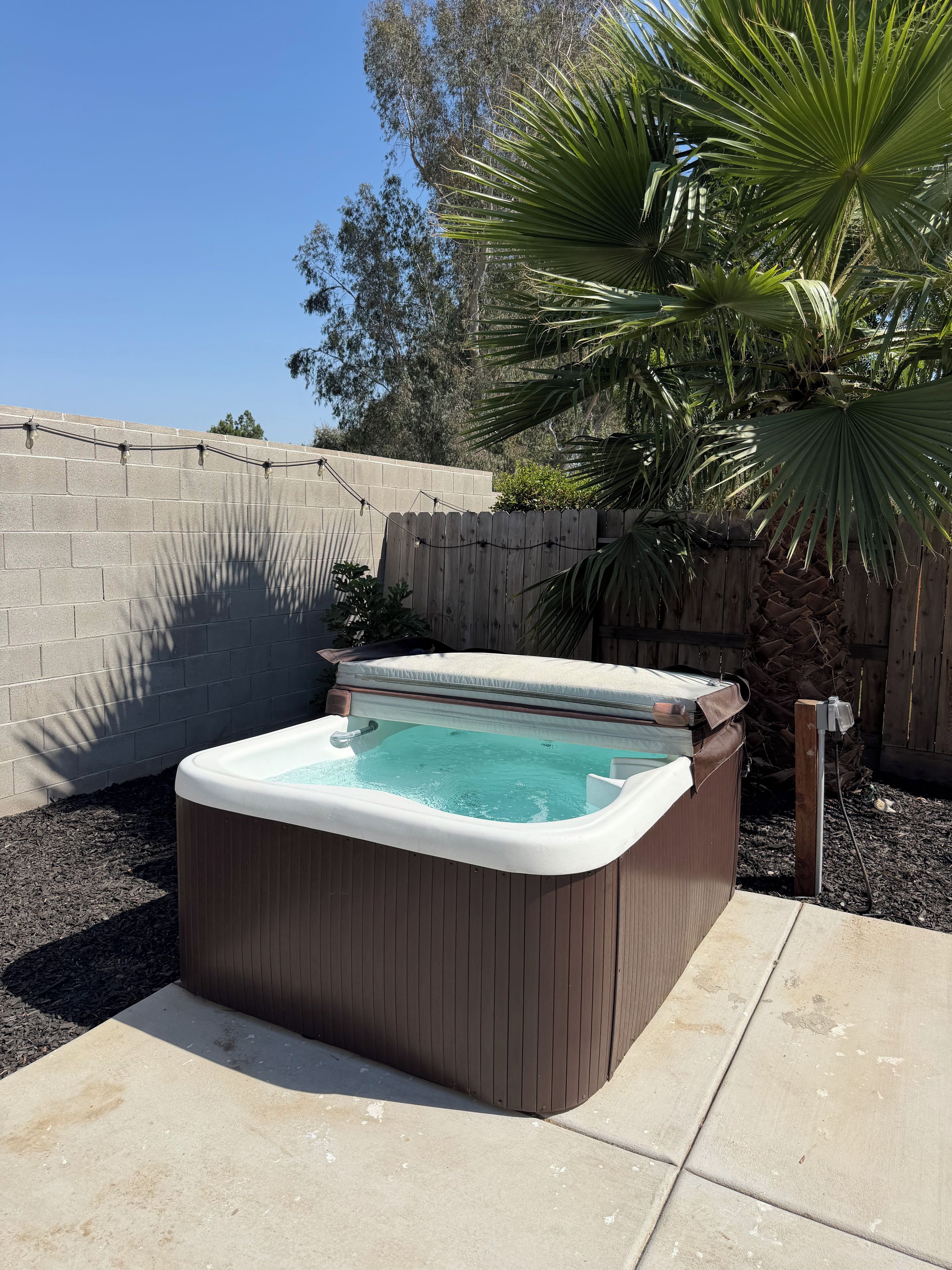 Un jacuzzi en un patio trasero con una cerca de madera, una palmera y un cielo azul despejado.