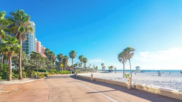 A beachfront promenade with palm trees, a sandy beach, and a clear blue sky. - Bright & Airy St. Pete Home w/ Outdoor Living (St. Petersburg)