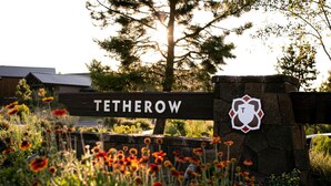 Et skilt med navnet 'Tetherow' og en logo, omgivet af en stenvæg og blomstrende planter.