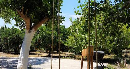 KaliVie Bio Farm & Retreat
