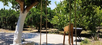 KaliVie Bio Farm & Retreat