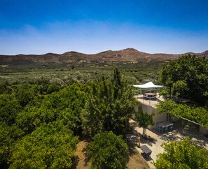 Property grounds - KaliVie Bio Farm & Retreat (Unknown)