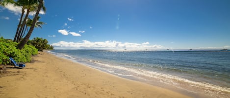 Plage, chaises longues, serviettes de plage