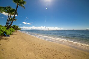 On the beach, sun-loungers, beach towels