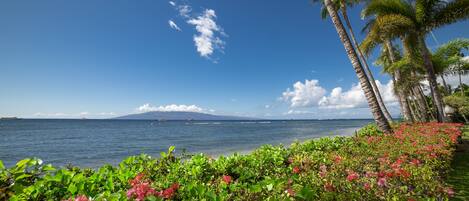 On the beach, sun-loungers, beach towels