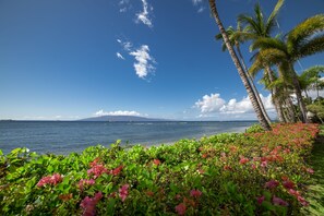 A tropical beach with palm trees and pink flowers in the foreground, a clear blue sky, and a view of the ocean and distant mountains.