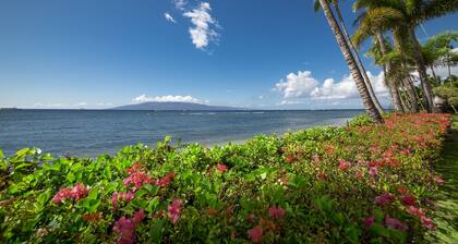 Lahaina Shores Beach Resort Studio