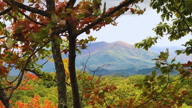 Un paysage montagneux aux couleurs automnales.