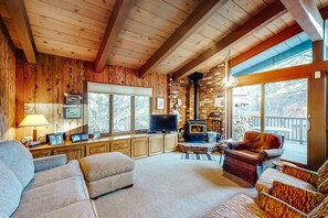 TV, fireplace, books