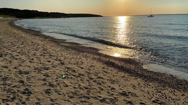 A beach with a curved shoreline, calm water, and a boat in the distance. - Private cottage nestled in center of the Vineyard (West Tisbury)