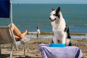 On the beach