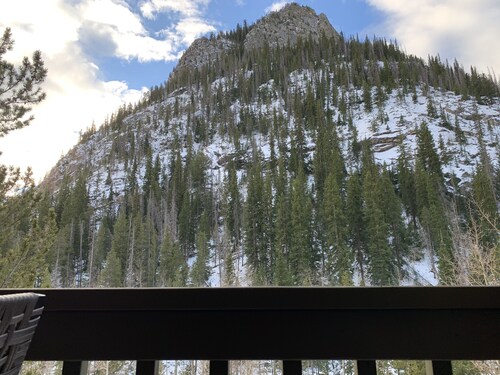 Cozy Mountainside, on Rec Path and Summit Stage, walk into Frisco 