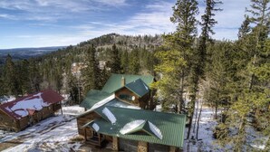 A cabin with a green roof, surrounded by snow-covered ground and trees, with a view of a forested mountain in the background.