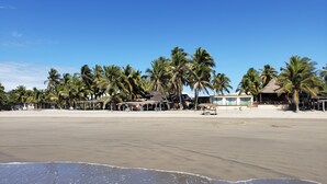 Een strand met palmbomen, een hutje en een gebouw met een schuin dak.