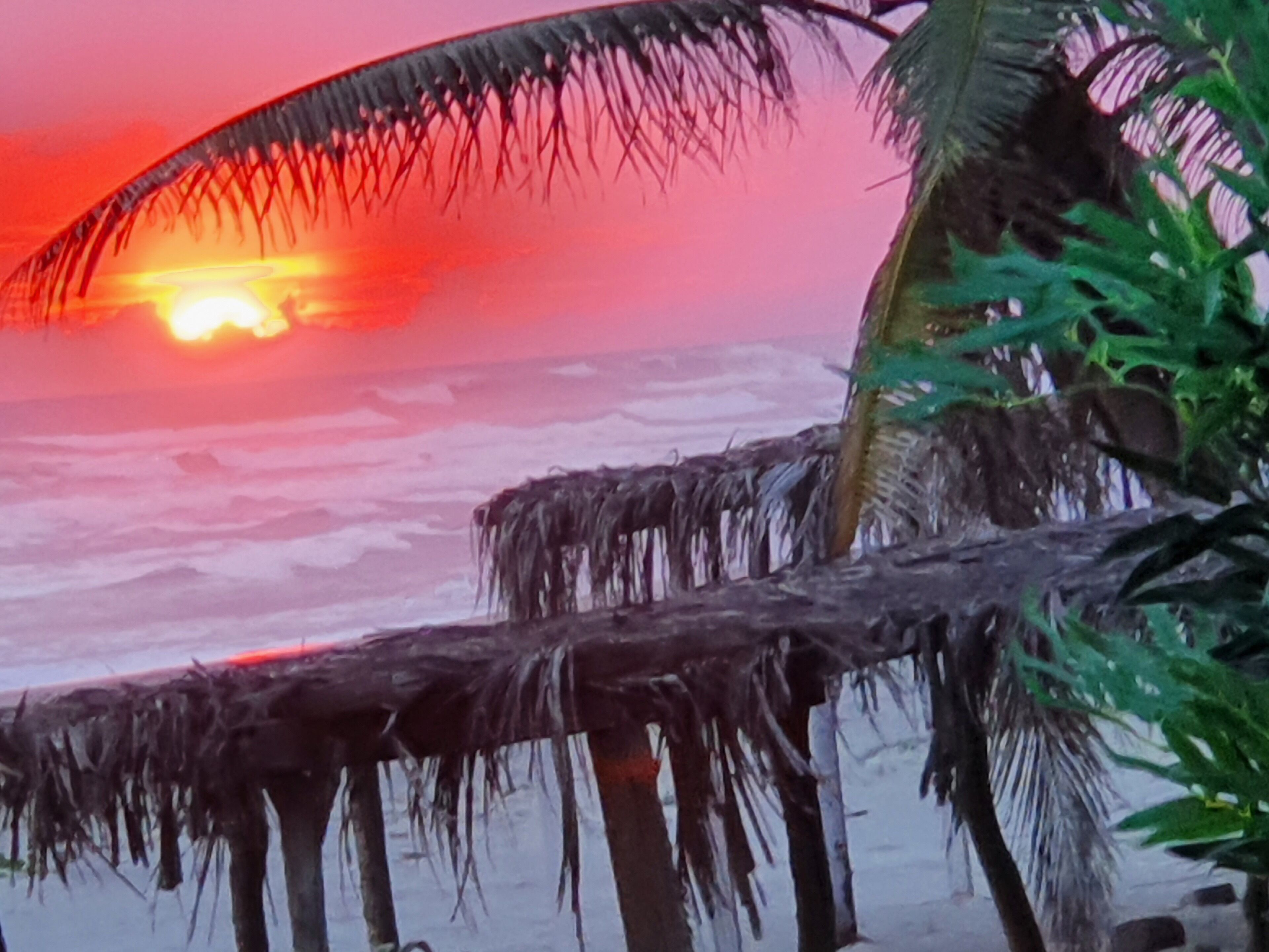 A beach scene with a sunset, palm trees, and a thatched structure.