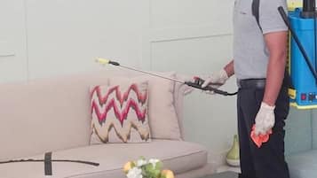 Cleanliness standards