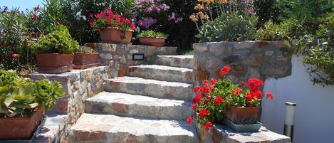 Área da propriedade