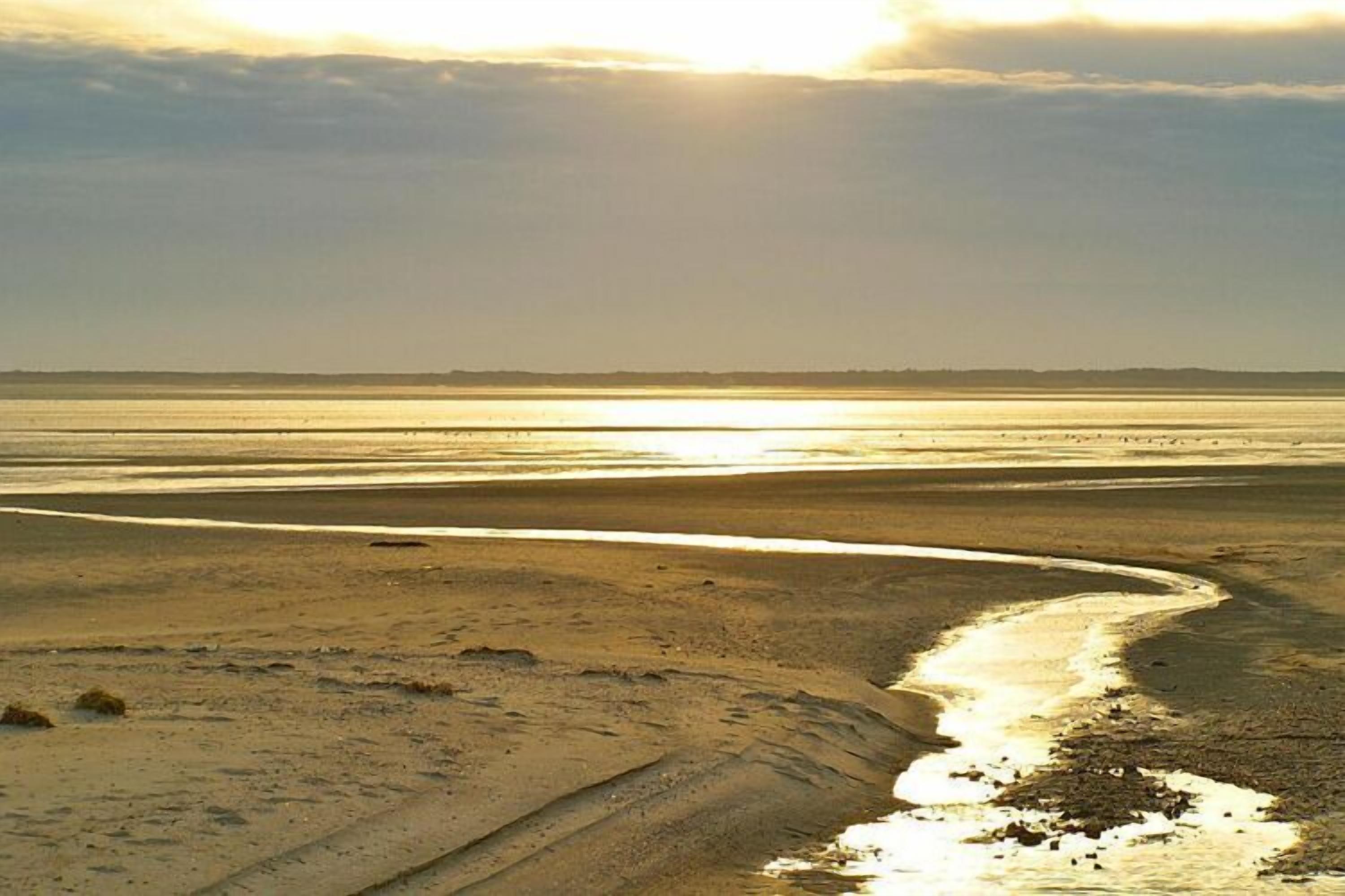 A beach with a curved water path and a distant shoreline.