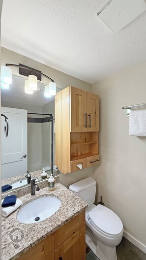 Hair dryer, towels, soap, shampoo