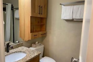 Secador de cabelo, toalhas de banho, shampoo, papel higiênico