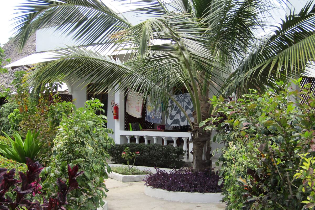 A tropical garden with a palm tree, a pathway, and a building with a white facade.