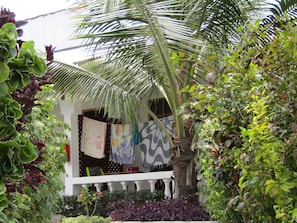 Terrace/patio - Kivulini Garden Lodge (Nungwi)